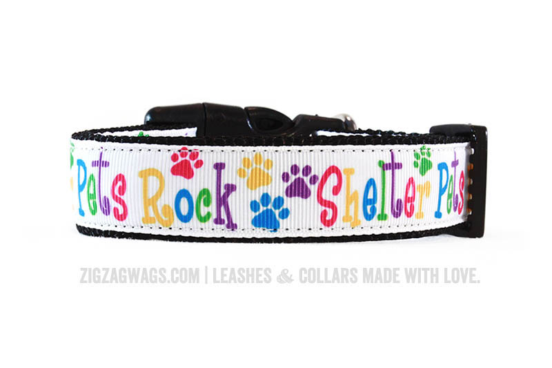 Dog Collar for Shelter Pets
