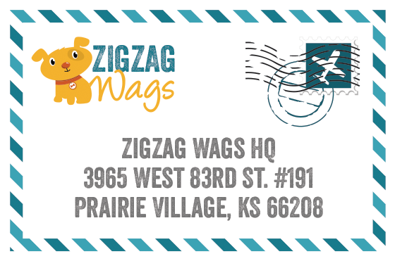 Contact ZigZag Wags