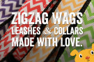 Win a leash and collar from ZigZag Wags!