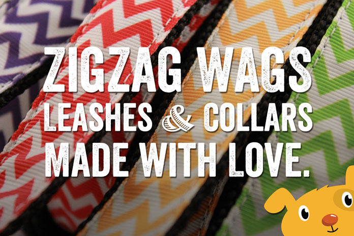 Win a leash and collar from ZigZag Wags!