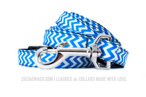 Blue Dog Leash and Collar Set from ZigZag Wags