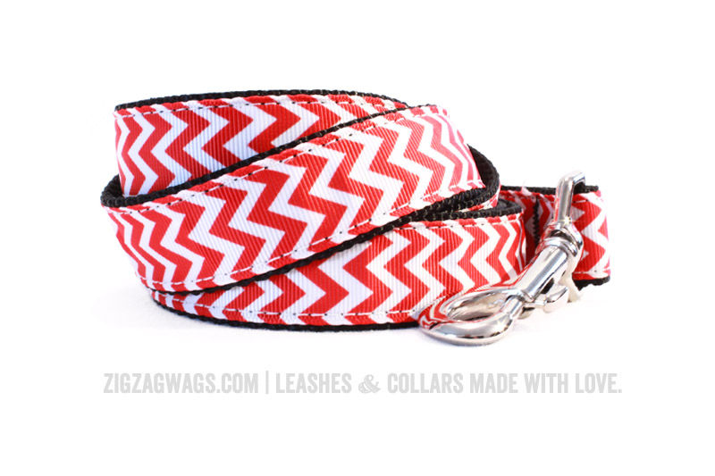 Fire Hydrant Red Dog Leash from ZigZag Wags