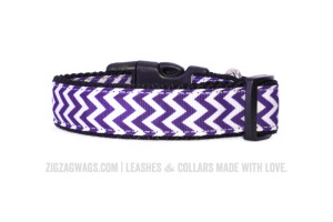 Purple Dog Collar from ZigZag Wags