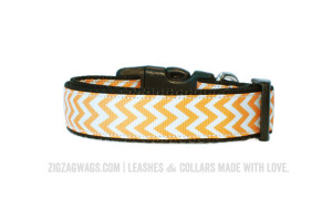 Yellow Dog Collar from ZigZag Wags