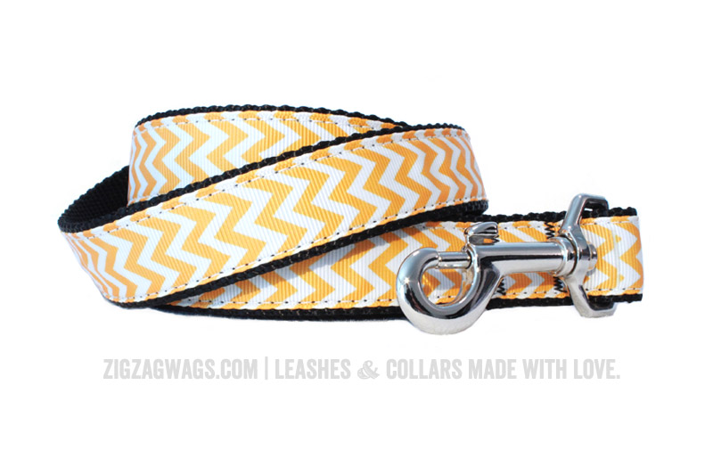 Yellow Dog Leash from ZigZag Wags